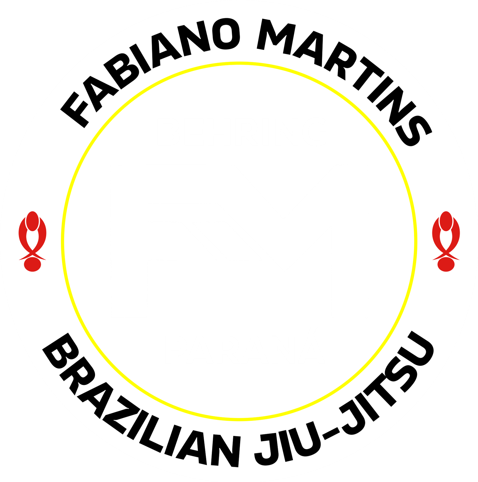 fabianomartinsbjj.com.br
